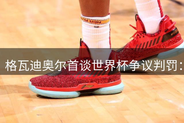 格瓦迪奥尔首谈世界杯争议判罚：转播未呈现关键画面 裁判决定不可更改