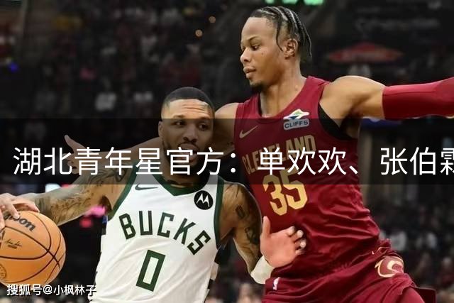 湖北青年星官方：单欢欢、张伯霖等9人加盟，陈佳奇等7人离队