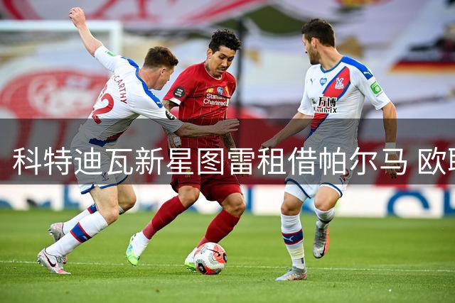 科特迪瓦新星图雷租借帕尔马 欧联杯冠军前锋开启意甲新征程